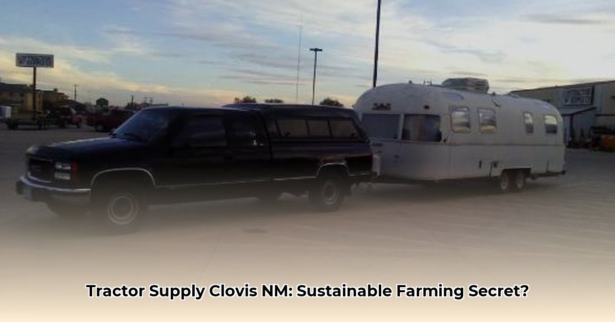 tractor-supply-clovis-new-mexico